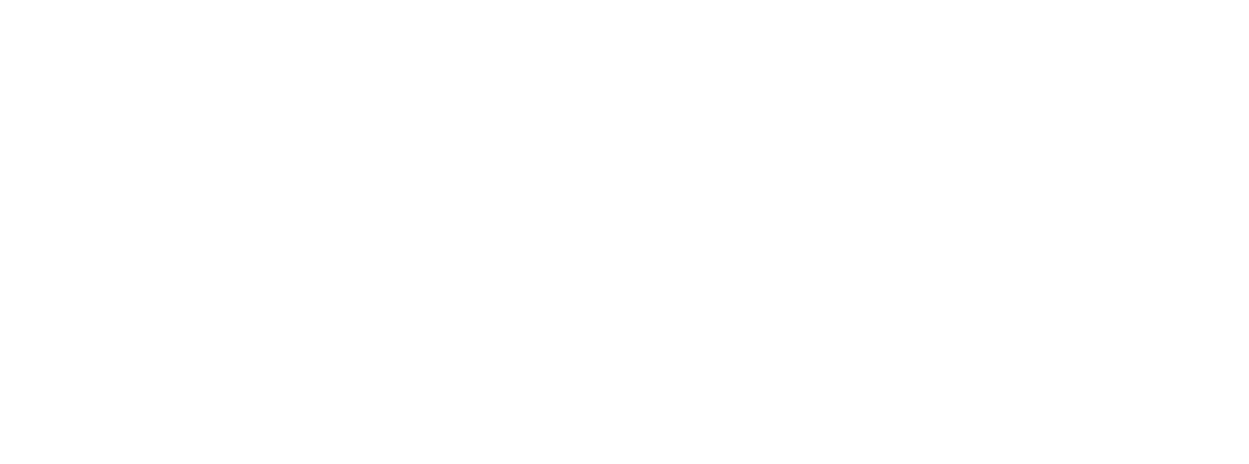 The Authentique
